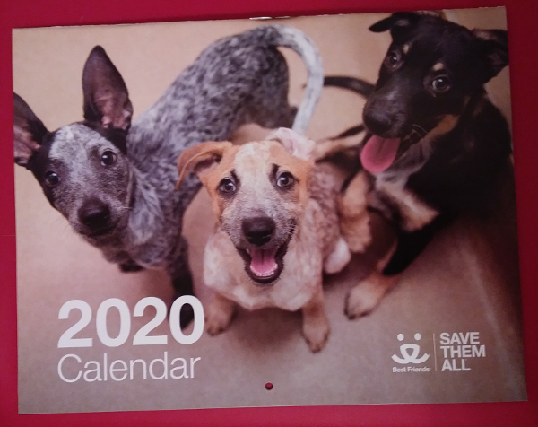 Best Friends 2020 Calendar